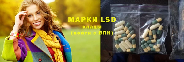 шишки Мегион