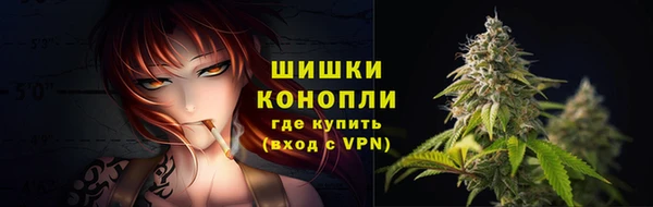 шишки Мегион