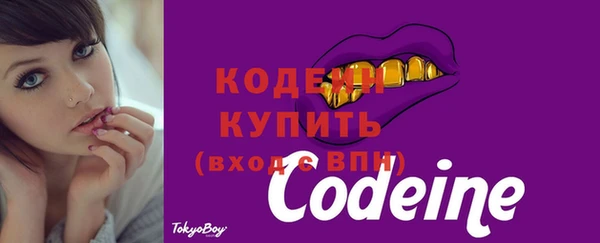 шишки Мегион