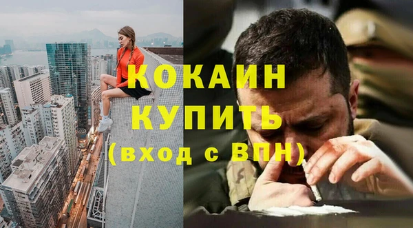 шишки Мегион