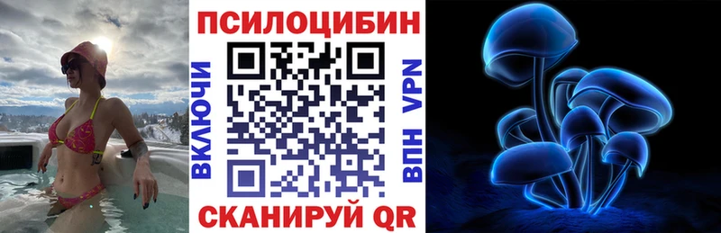 Купить закладки  Яхрома  Галлюциногенные грибы Cubensis 
